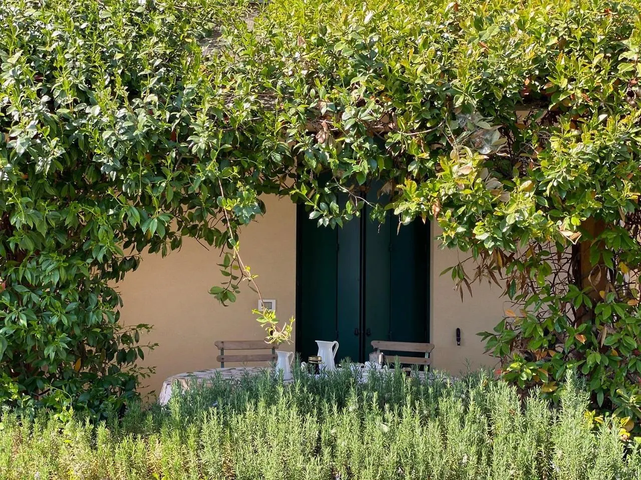 Agriturismo Altrove 圣米凯莱亚尔塔利亚门托 意大利